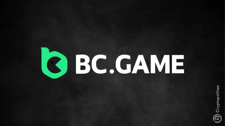 Understanding the BC.Game Login Process A Step-by-Step Guide